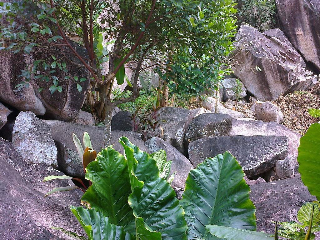 Liane De Mai Bed and Breakfast La Digue Exterior foto